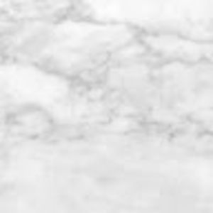 Meet your Posher, Autumn